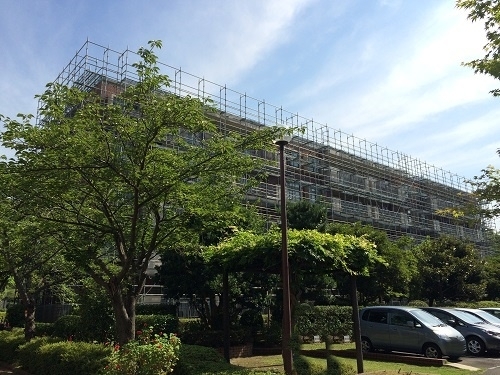 ブラウンハイム４