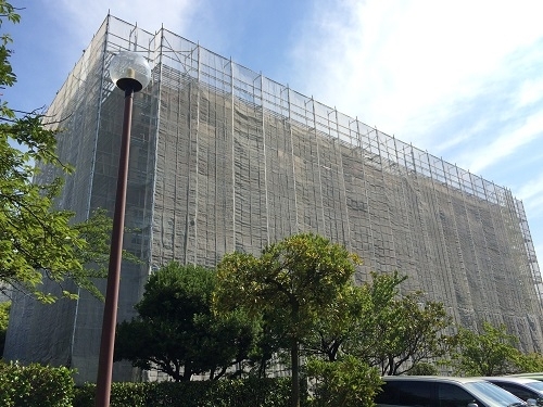 ブラウンハイム３