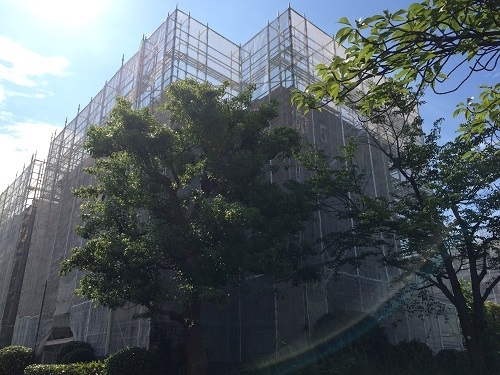 ブラウンハイム２