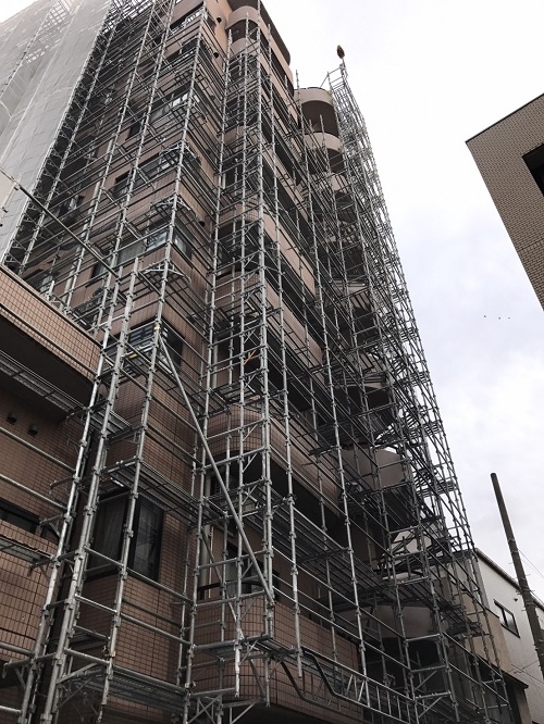 カメリアコート