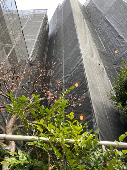 ボヌール東池袋