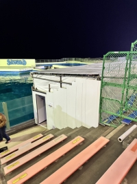 鴨川SW種の保存プール